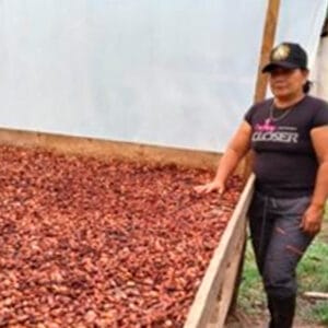 Theobroma Cacao